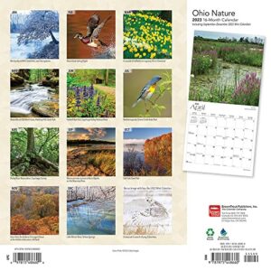 Ohio Nature | 2023 12 x 24 Inch Monthly Square Wall Calendar | Foil Stamped Cover | BrownTrout | USA United States of America Midwest State Nature