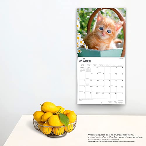 I Love Kittens | 2023 12 x 24 Inch Monthly Square Wall Calendar | Foil Stamped Cover | BrownTrout | Animals Cats Feline