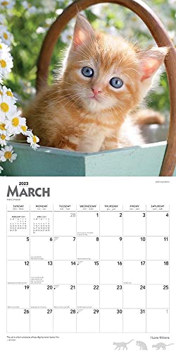 I Love Kittens | 2023 12 x 24 Inch Monthly Square Wall Calendar | Foil Stamped Cover | BrownTrout | Animals Cats Feline