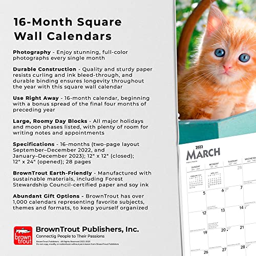 I Love Kittens | 2023 12 x 24 Inch Monthly Square Wall Calendar | Foil Stamped Cover | BrownTrout | Animals Cats Feline