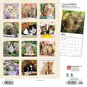 I Love Kittens | 2023 12 x 24 Inch Monthly Square Wall Calendar | Foil Stamped Cover | BrownTrout | Animals Cats Feline