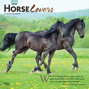 horse lovers | 2023 12 x 24 inch monthly square wall calendar | foil stamped cover | browntrout | animals equestrian