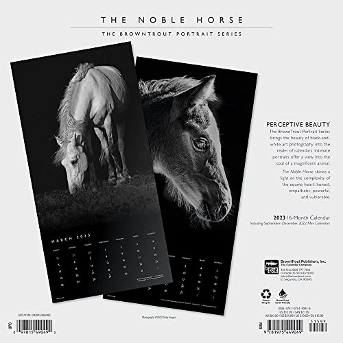 The BrownTrout Portrait Series: The Noble Horse | 2023 12 x 24 Inch Monthly Square Wall Calendar | Pets Equestrian