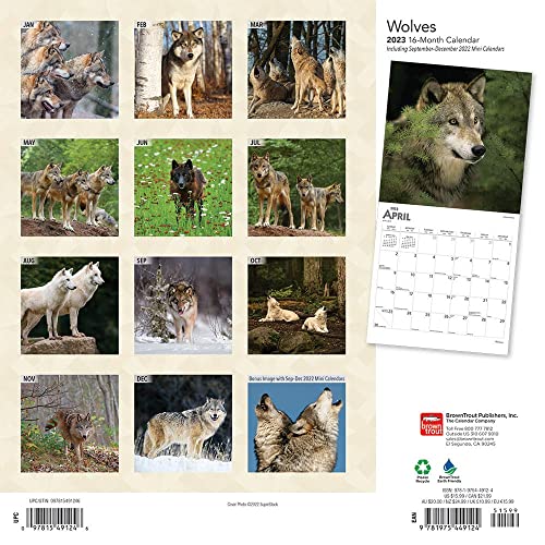 Wolves | 2023 12 x 24 Inch Monthly Square Wall Calendar | Foil Stamped Cover | BrownTrout | Wildlife Animals