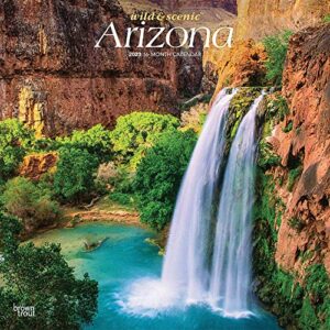 Arizona Wild & Scenic | 2023 12 x 24 Inch Monthly Square Wall Calendar | BrownTrout | USA United States of America Southwest State Nature