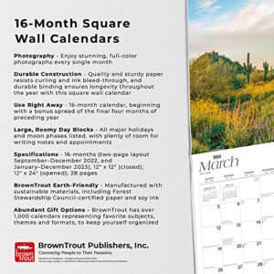 Arizona Wild & Scenic | 2023 12 x 24 Inch Monthly Square Wall Calendar | BrownTrout | USA United States of America Southwest State Nature