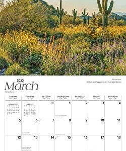 Arizona Wild & Scenic | 2023 12 x 24 Inch Monthly Square Wall Calendar | BrownTrout | USA United States of America Southwest State Nature