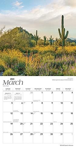 Arizona Wild & Scenic | 2023 12 x 24 Inch Monthly Square Wall Calendar | BrownTrout | USA United States of America Southwest State Nature