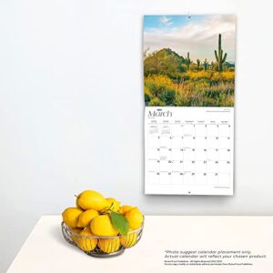 Arizona Wild & Scenic | 2023 12 x 24 Inch Monthly Square Wall Calendar | BrownTrout | USA United States of America Southwest State Nature