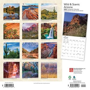 Arizona Wild & Scenic | 2023 12 x 24 Inch Monthly Square Wall Calendar | BrownTrout | USA United States of America Southwest State Nature