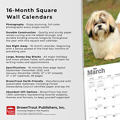 Shih Tzu | 2023 12 x 24 Inch Monthly Square Wall Calendar | Foil Stamped Cover | BrownTrout | Animals Small Dog Breeds DogDays