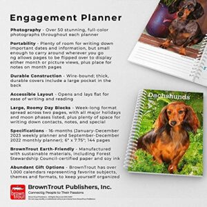 Dachshunds | 2023 6 x 7.75 Inch Spiral-Bound Wire-O Weekly Engagement Planner Calendar | New Full-Color Image Every Week | BrownTrout | Animals Dog Breeds Pets