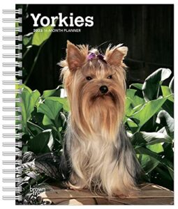 yorkshire terriers | 2023 6 x 7.75 inch spiral-bound wire-o weekly engagement planner calendar | new full-color image every week | browntrout | yorkies dog breeds dogdays