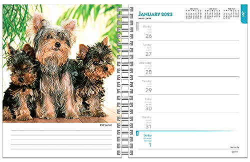 Yorkshire Terriers | 2023 6 x 7.75 Inch Spiral-Bound Wire-O Weekly Engagement Planner Calendar | New Full-Color Image Every Week | BrownTrout | Yorkies Dog Breeds DogDays