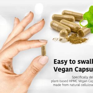 DR WAKDE'S Punarnava Capsules (Boerhavia diffusa, 60 Veg Caps, Plant-Based Supplement, Ayurvedic Herb, All Natural, Vegan)