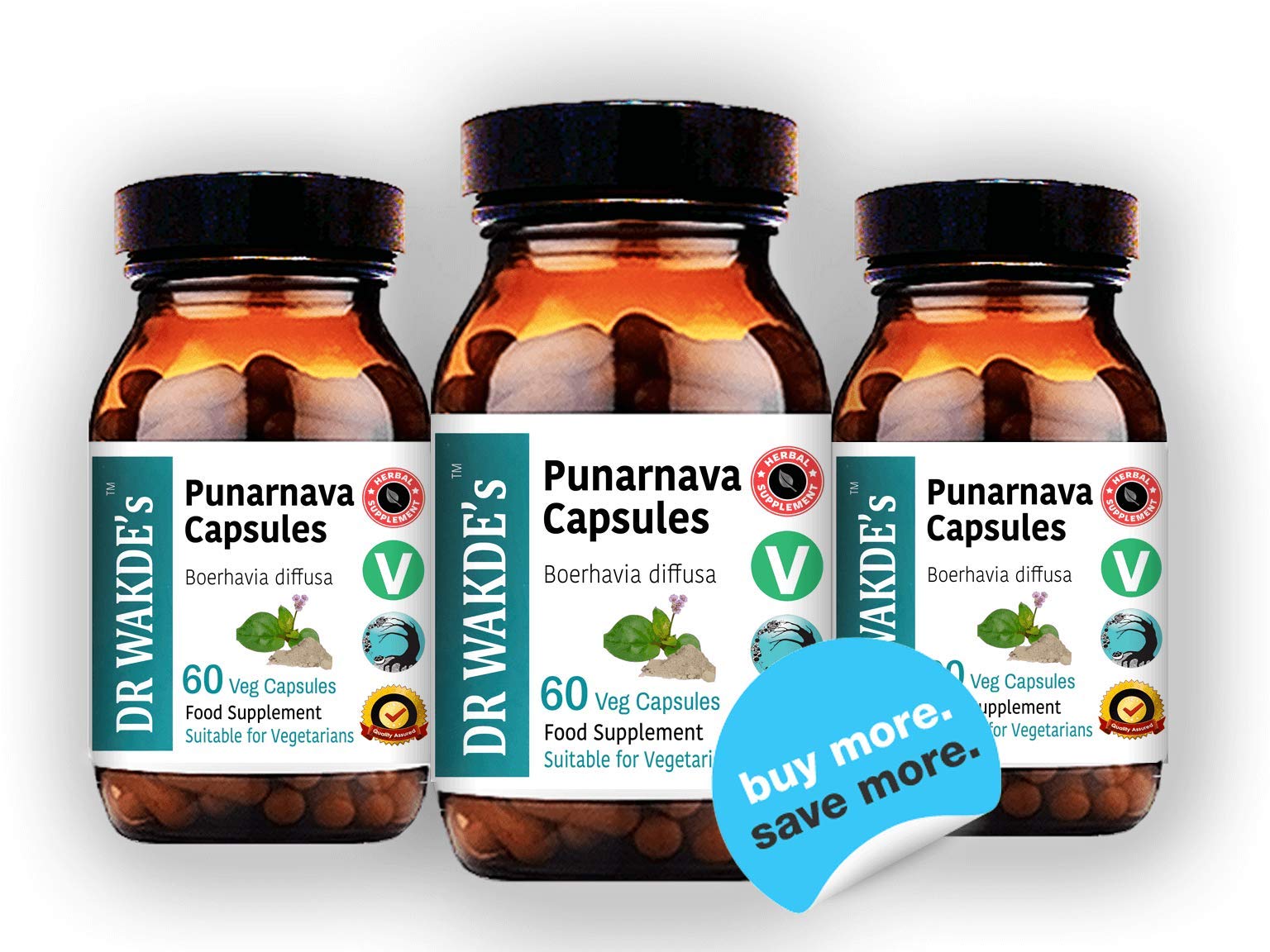 DR WAKDE'S Punarnava Capsules (Boerhavia diffusa, 60 Veg Caps, Plant-Based Supplement, Ayurvedic Herb, All Natural, Vegan)