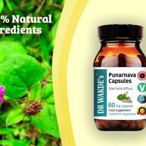 DR WAKDE'S Punarnava Capsules (Boerhavia diffusa, 60 Veg Caps, Plant-Based Supplement, Ayurvedic Herb, All Natural, Vegan)