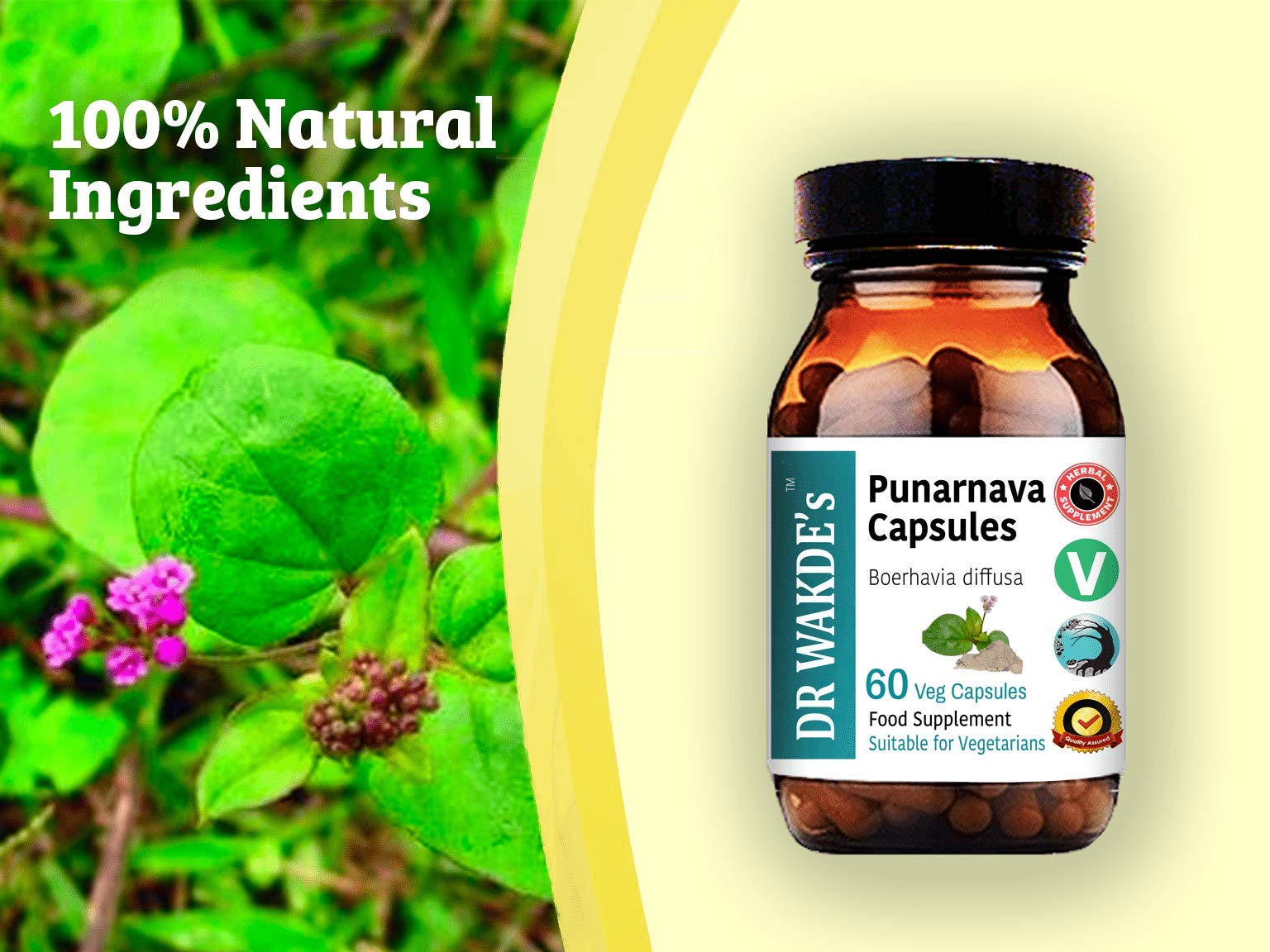 DR WAKDE'S Punarnava Capsules (Boerhavia diffusa, 60 Veg Caps, Plant-Based Supplement, Ayurvedic Herb, All Natural, Vegan)