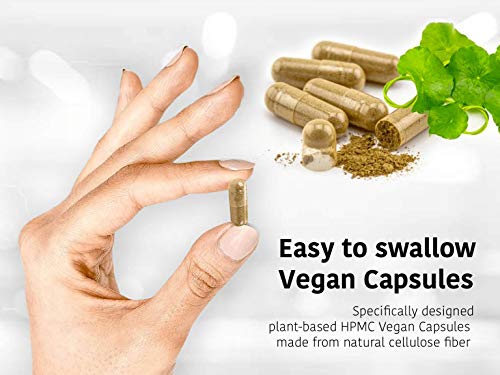 DR WAKDE'S Kantakari Capsules (Solanum xanthocarpum, 60 Veg Caps, Plant-Based Supplement, Ayurvedic Herb, All Natural, Vegan)