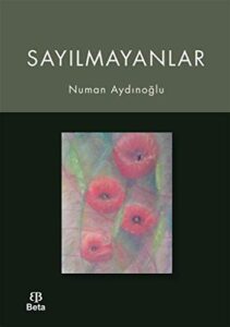 sayilmayanlar