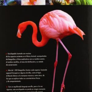 Enciclopedia Práctica del Mundo Animal (Spanish Edition)