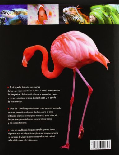 Enciclopedia Práctica del Mundo Animal (Spanish Edition)