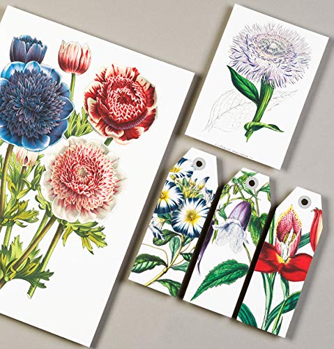 Flowers: Paper Craft Book with Cards, Envelopes, Stickers, Tags & Colouring Sheets (Multilingual Edition) (English, Spanish, French and German Edition)