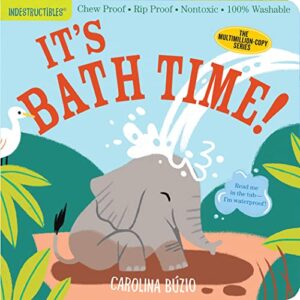 indestructibles: it's bath time!: chew proof · rip proof · nontoxic · 100% washable (book for babies, newborn books, safe to chew)