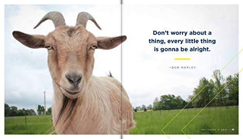 You've Goat This: Wisdom to Get You Through the Good, the Baaad, and Everything in Between