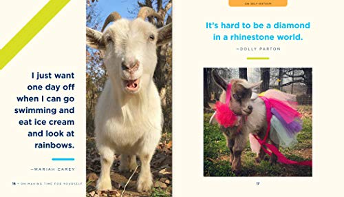 You've Goat This: Wisdom to Get You Through the Good, the Baaad, and Everything in Between