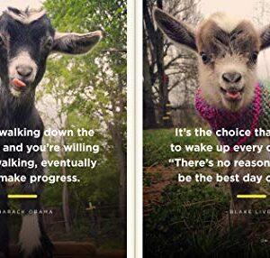 You've Goat This: Wisdom to Get You Through the Good, the Baaad, and Everything in Between