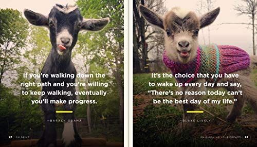 You've Goat This: Wisdom to Get You Through the Good, the Baaad, and Everything in Between