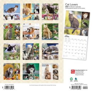 Cat Lovers 2022 12 x 12 Inch Monthly Square Wall Calendar with Foil Stamped Cover, Animals Domestic Kittens Feline