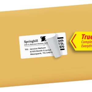 Avery Printable Shipping Labels with Sure Feed, 2" x 4", White, 250 Blank Mailing Labels (8163)