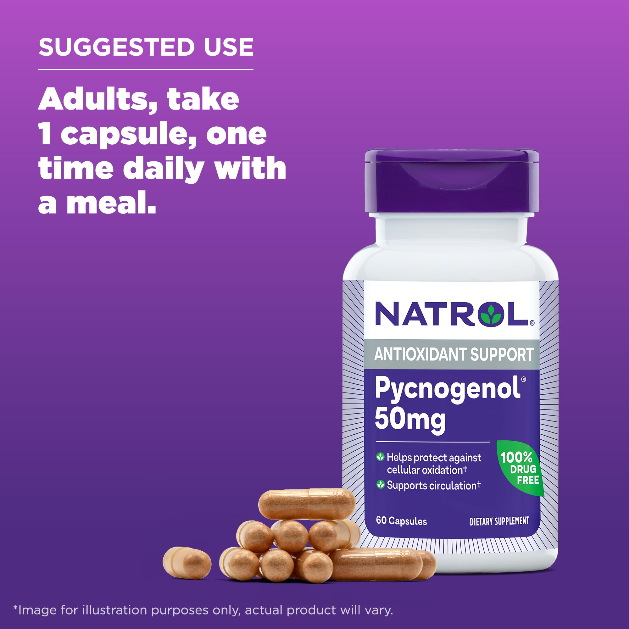 Natrol Pycnogenol Capsules, Antioxidant Protection, Supplement Protects Against Cellular Oxidation and Age-Related Damage, European Maritime Pine Bark Extract, Supports Circulation, 50 mg, 60 Count