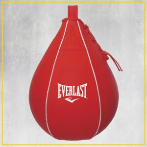 Everlast 100 LB Nevatear Heavy Bag Boxing Kit with 14 oz Pro-Style Gloves and 120 inch Hand Wraps