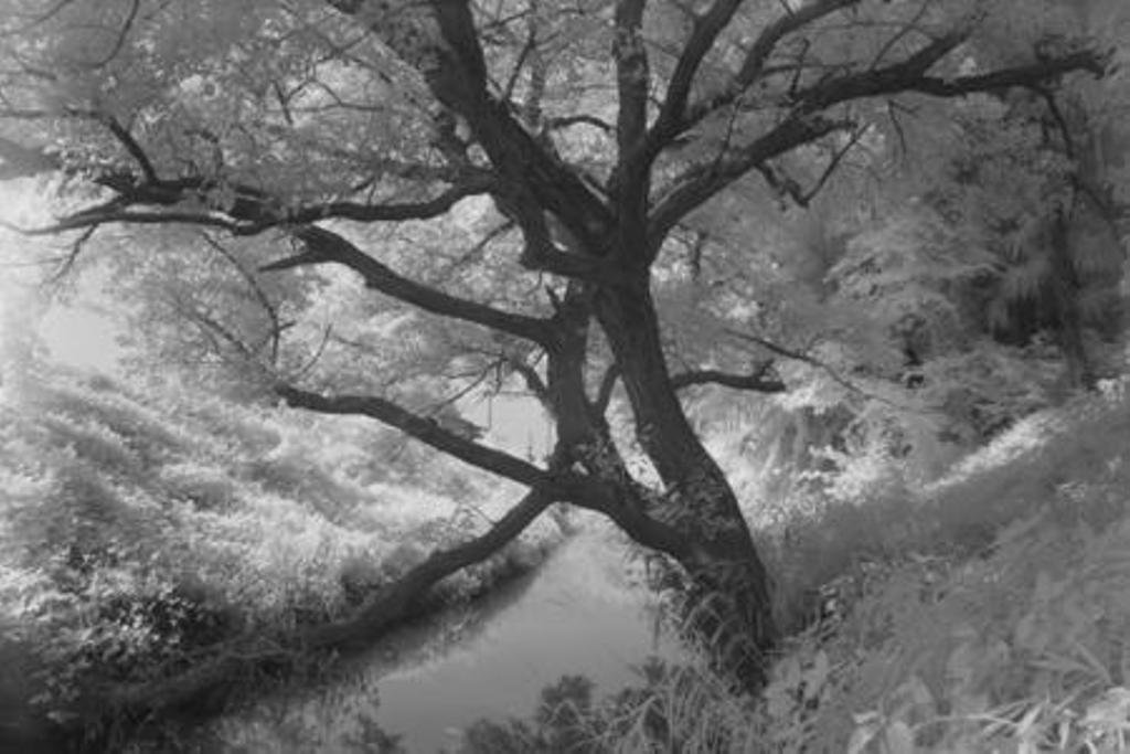 Hoya 77mm R-72 Infrared Filter