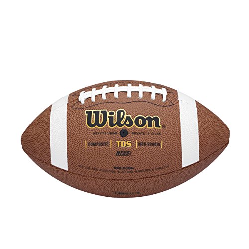 Wilson TD Composite Series Football - Official Siz