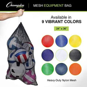 Champion Sports Mesh Sports Equipment Bag, Blue, 24x36 Inches - Multipurpose, Nylon Drawstring Bag with Lock and ID Tag for Balls, Beach, Laundry