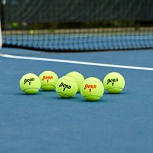 Penn Championship- Regular Duty Felt Pressurized Tennis Balls - 1 Can, 3 Balls