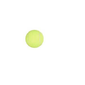 Penn Championship- Regular Duty Felt Pressurized Tennis Balls - 1 Can, 3 Balls