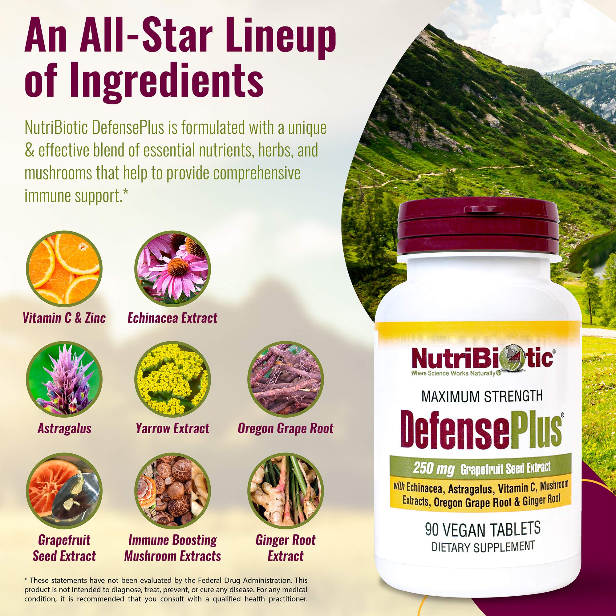 NutriBiotic – DefensePlus, 90 Tablets - 11 in 1 Immune Support with Vitamin C, Zinc, Grapefruit Seed Extract, Echinacea, Astragalus Root & Immune Boosting Extracts & Mushrooms - Vegan & Gluten Free