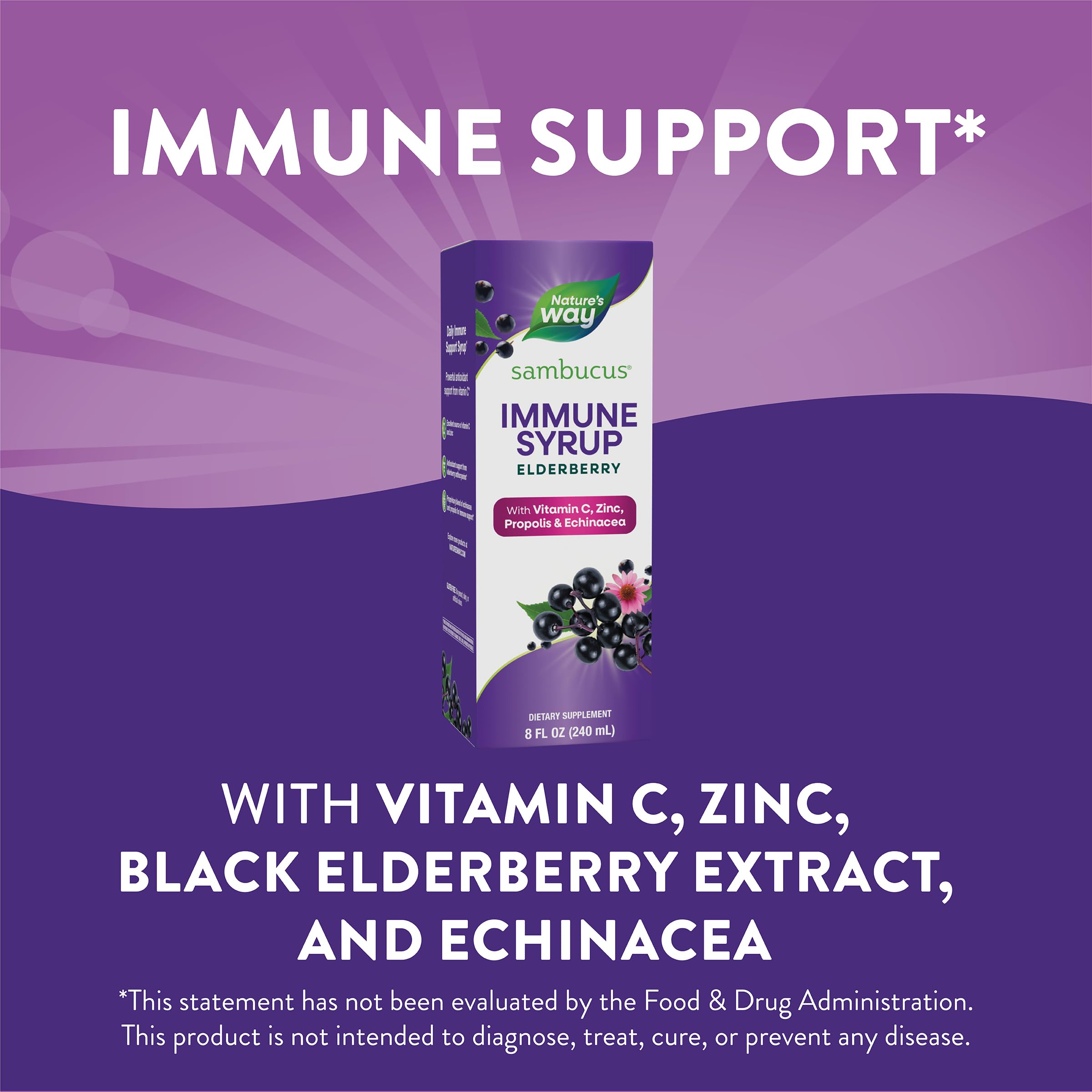 Nature's Way Sambucus Elderberry Immune Syrup, Daily Immune Support*, Black Elderberry Extract, Vitamin C, Zinc, Echinacea, Propolis, 8 Fl Oz (Packaging May Vary)