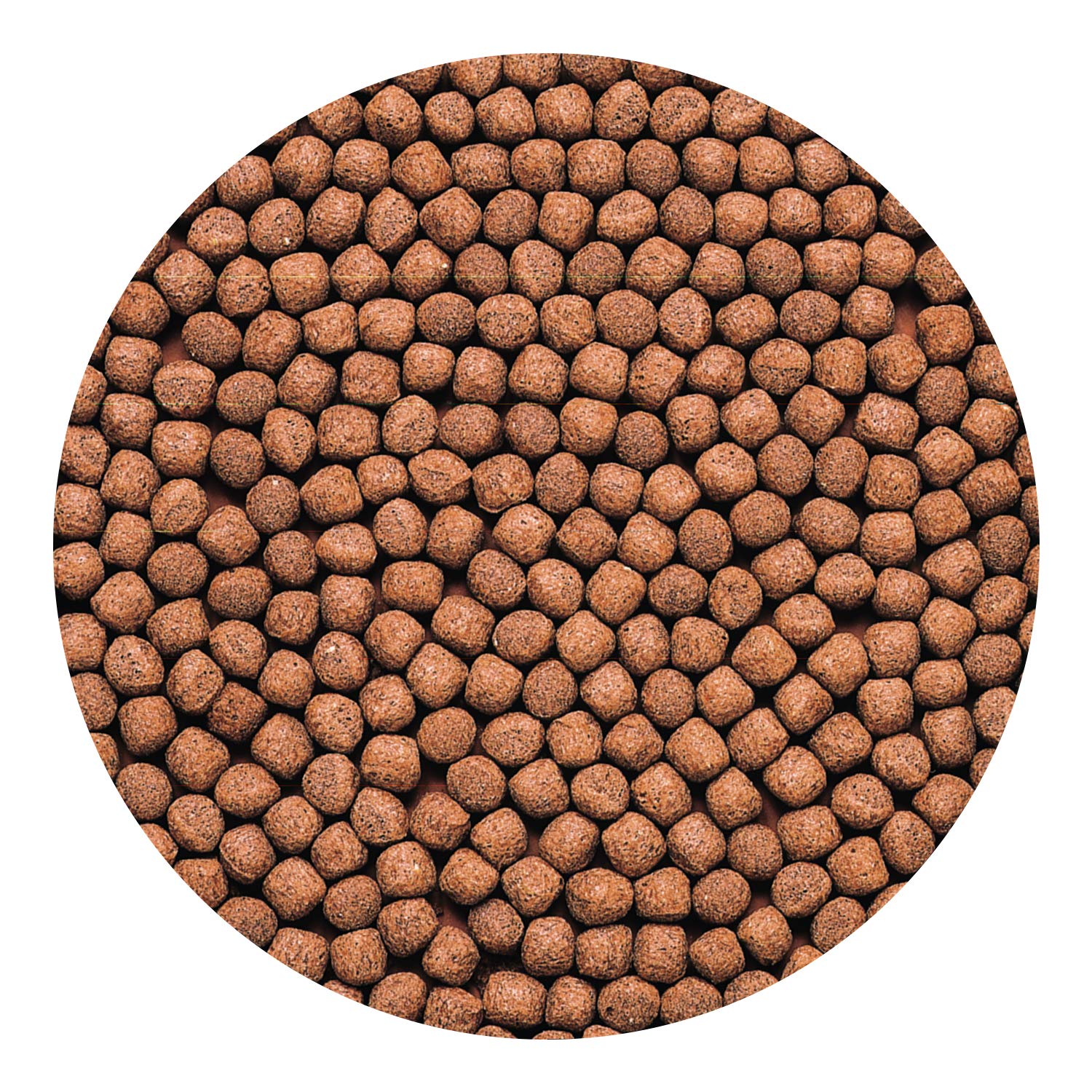 Hikari 2-Ounce Cichlid Gold Floating Pellets for Pets, Medium