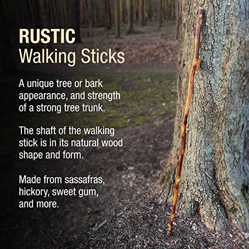 Free form Hickory Walking Stick-48