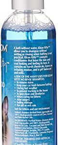 Bio-Groom Klean Kitty Waterless Cat Shampoo – No-Rinse, Cat Bathing Supplies, Kitten Wash, Cat & Dog Grooming Supplies, Cruelty-Free, Made in USA, Dry Shampoo Spray, Cat Products – 8 fl oz 1-Pack