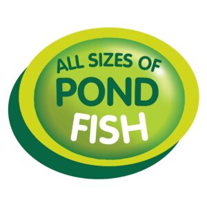 Tetra Pond Sticks, Koi Fish & Goldfish Food, Soft Sticks, Easy to Digest Floating Pond Fish Food, 6.61 pounds