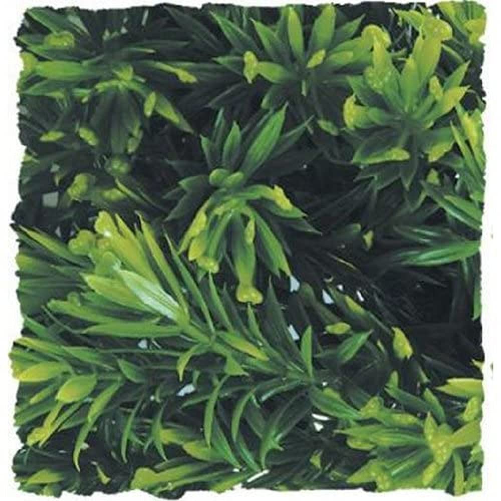 Zoo Med Naturalistic Bush Plant Borneo Star, Large