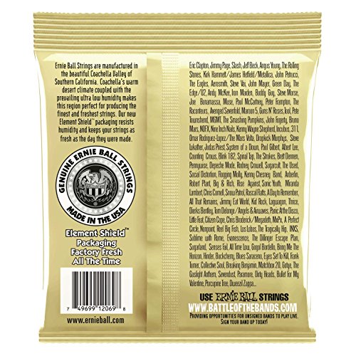 Ernie Ball Folk Nylon Clear & Gold Ball-End 80/20 Bronze Acoustic Guitar Strings, 28-42 Gauge (P02069)