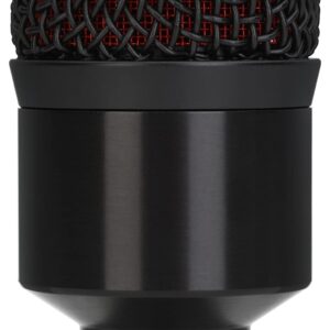 AUDIX D4 Hypercardioid Dynamic Instrument Microphone for Kick Drums, Toms, and Bass Instruments